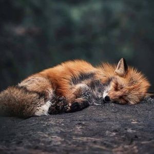 Meet your Posher, Vicki